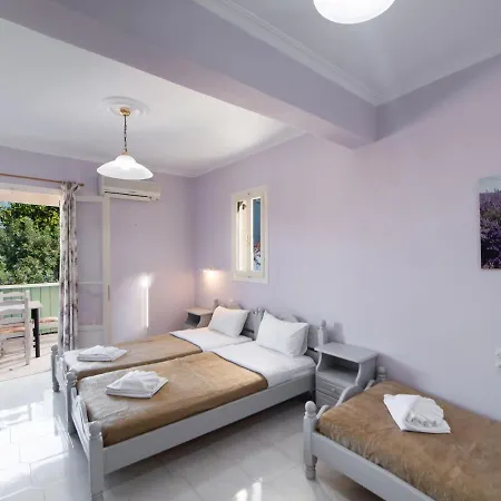 Отель Olive Tree