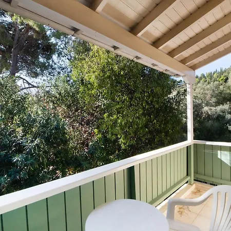 Olive Tree Отель 2*