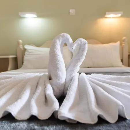 Отель Olive Tree 2*