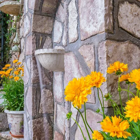 Olive Tree Отель 2*