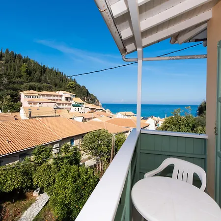 Отель Olive Tree 2*